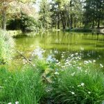 canal Ciran