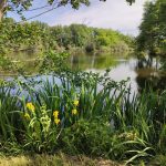 Etang - Ferme de la Thillaume - ADRTL C. ROBERT