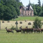 harde et château - Domaine du Ciran