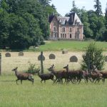 harde et château - Domaine du Ciran