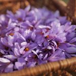 Julien PERON44duréeilli