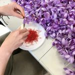 Julien PERONduréeilli