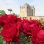 ROSE.ADRT