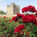 ROSE.ADRTL